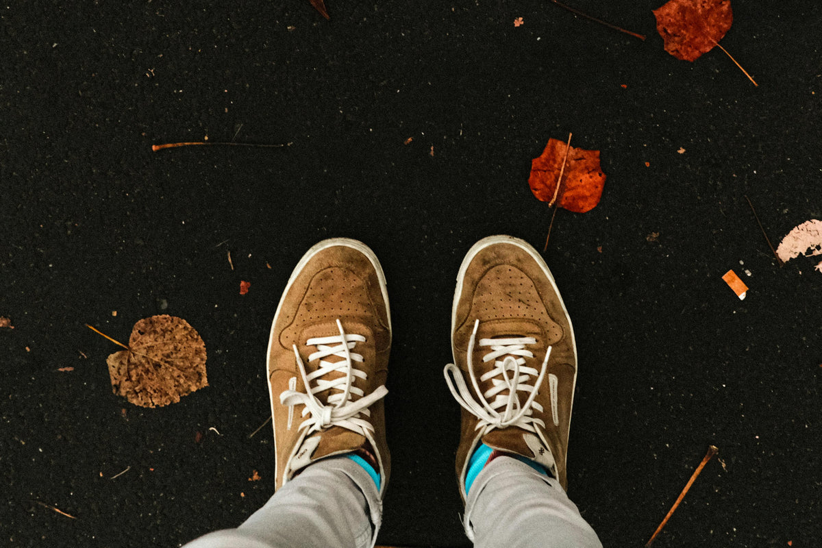 Fresh Steppers