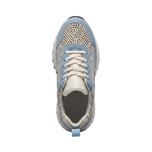 Mesh Force image 2