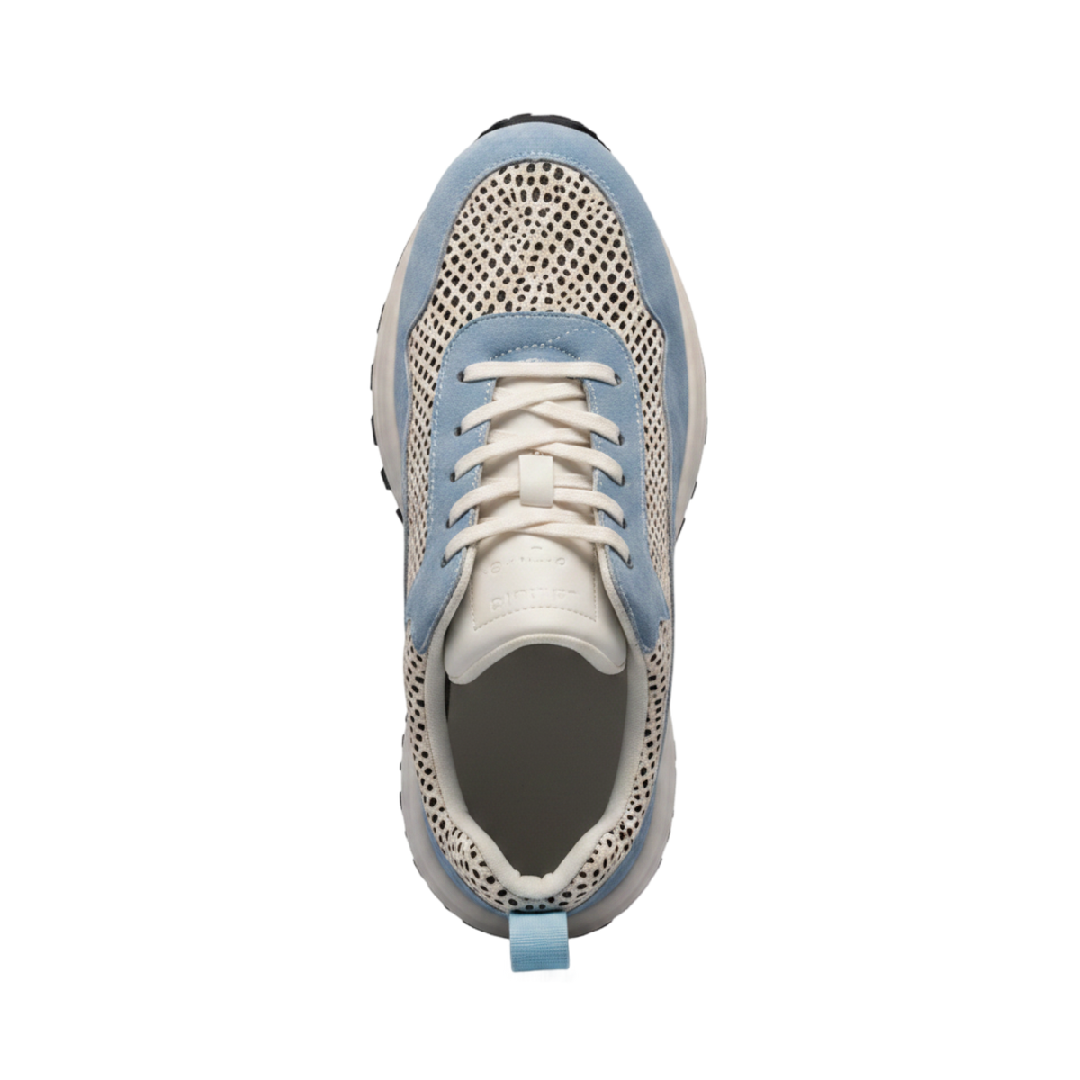 Mesh Force