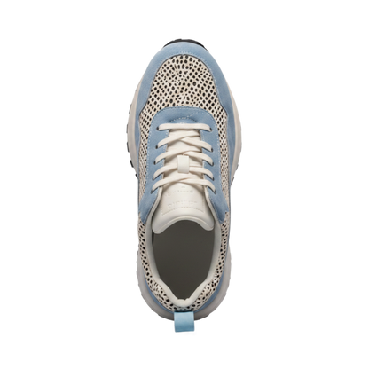 Mesh Force